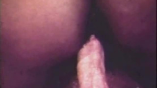 Vintage Interracial Porn
